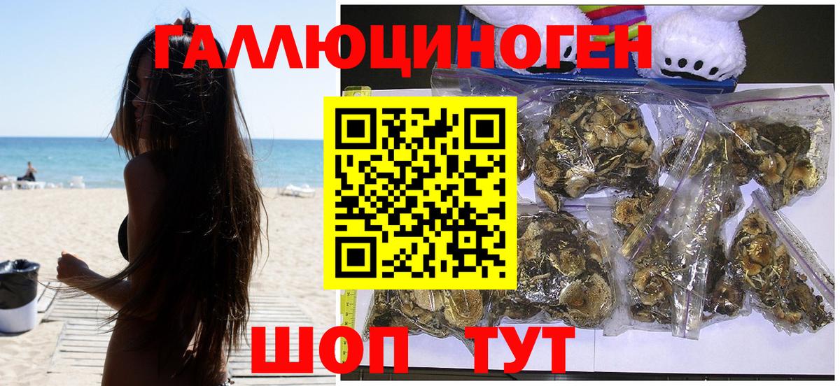 Псилоцибиновые грибы MAGIC MUSHROOMS Артём