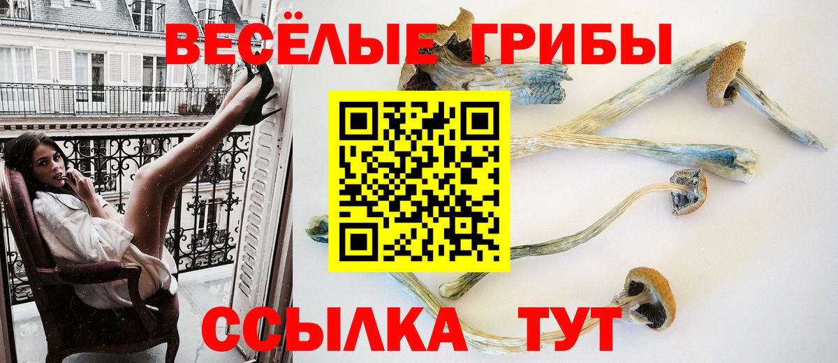 Артём  Псилоцибиновые грибы GOLDEN TEACHER  Вход с VPN  Псилоцибиновые грибы GOLDEN TEACHER 
